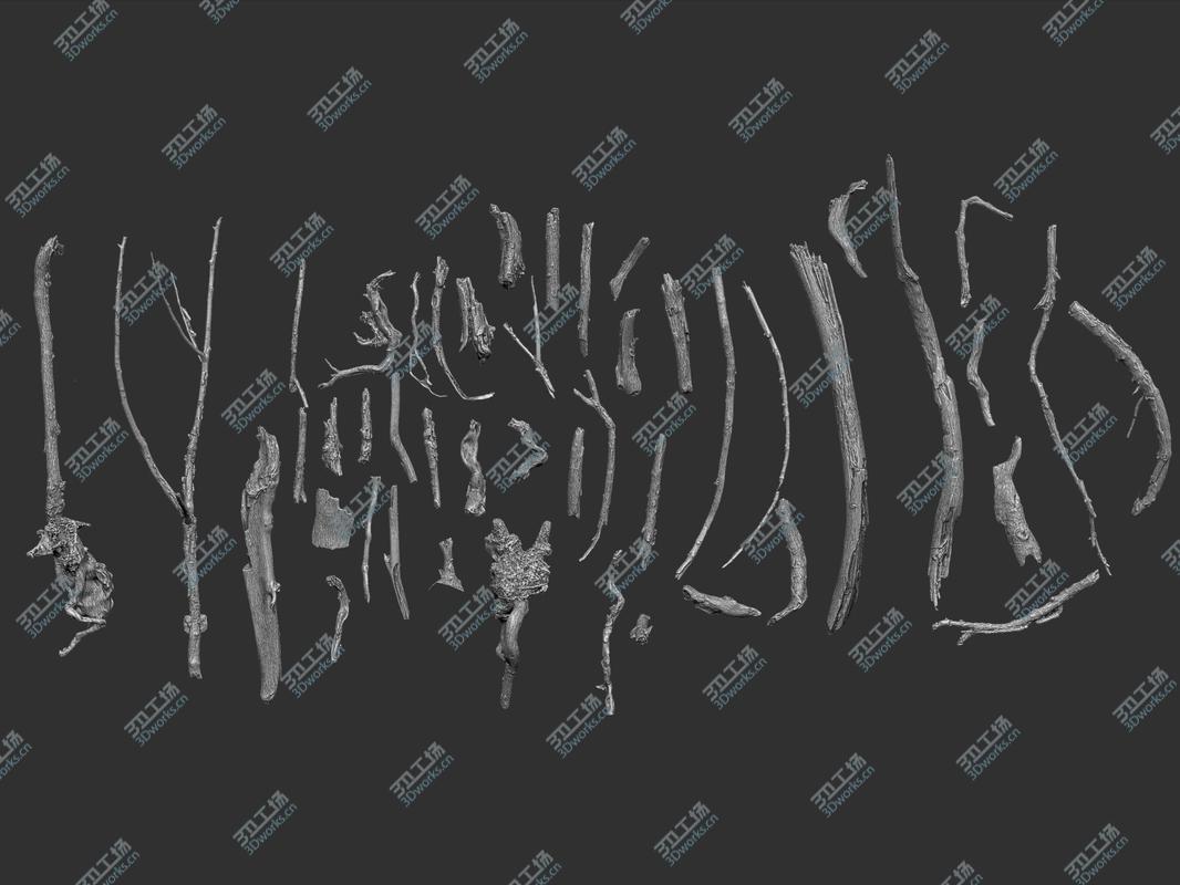 images/goods_img/202104093/Wood Branch Pack 45/2.jpg